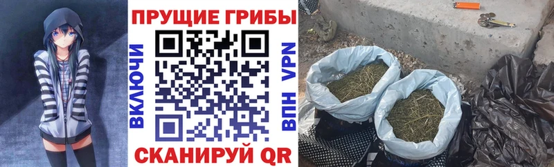 Галлюциногенные грибы мицелий  купить наркотики цена  гидра   Грязи 