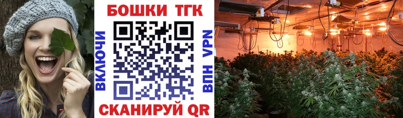 Каннабис план  Грязи 